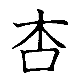 apricot apricot