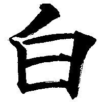 white white