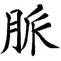 vein vein